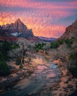 Image post by @nationalparkscollective on Instagram