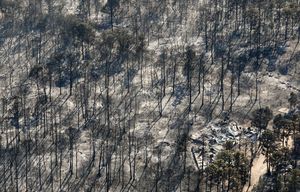 Image post by @statesman on Instagram