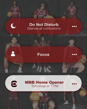 Image post by @gamecocksonline on Instagram