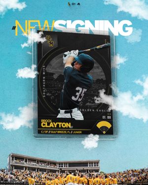Image post by @southernmissbsb on Instagram