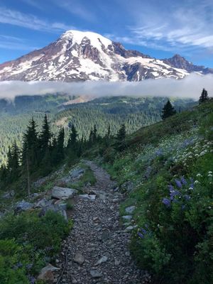 Image post by @NatlParkService on Twitter