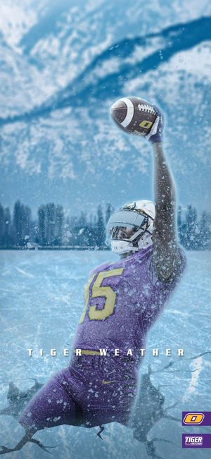 Image post by @ONAZFootball on Twitter