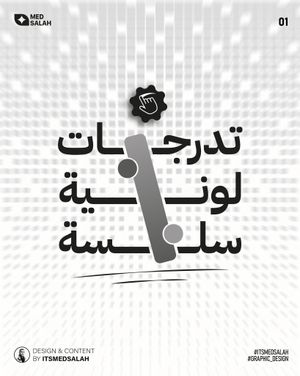 Image post by @itsmedsalah on Instagram