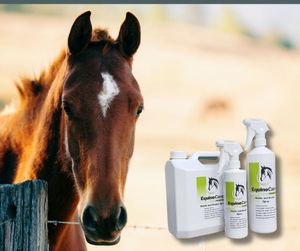 Image post by @equinecareprobiotic on Instagram
