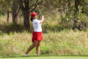 Image post by @badgerwgolf on Instagram