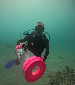 Image post by @lionfishscuba on Instagram