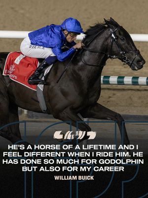 Image post by @worldhorseracing on Instagram