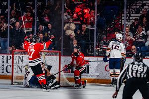 Image post by @ohlicedogs on Instagram