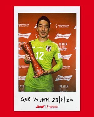 Image post by @fifaworldcup on Instagram