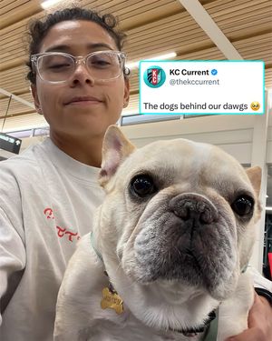 Image post by @kccurrent on Instagram