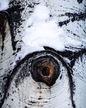 Image post by @arrowheadco on Instagram