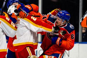 Image post by @condors on Instagram