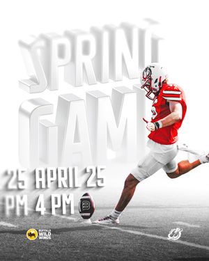 Image post by @msum_football on Instagram
