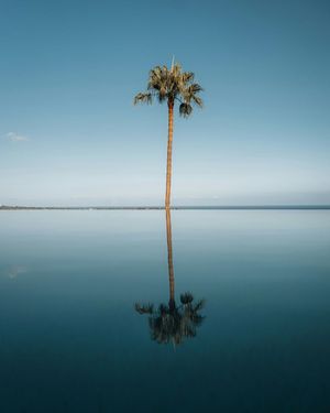 Image post by @unsplash on Instagram