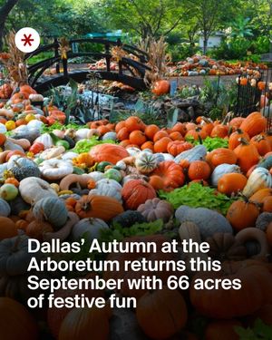 Image post by @secret_dallas on Instagram