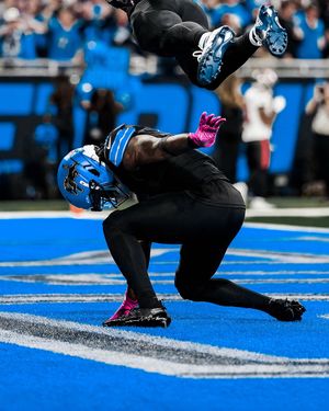 Video post by @detroitlions on TikTok