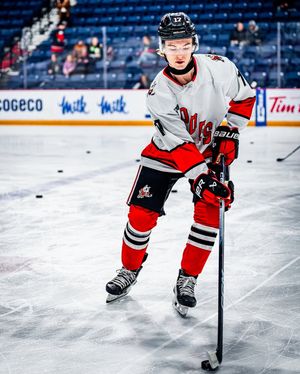 Image post by @ohlicedogs on Instagram