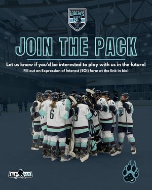 Image post by @yegjrwolves on Instagram