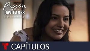 Video post by @telemundo on YouTube
