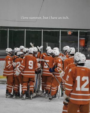 Image post by @texasicehockey on Instagram