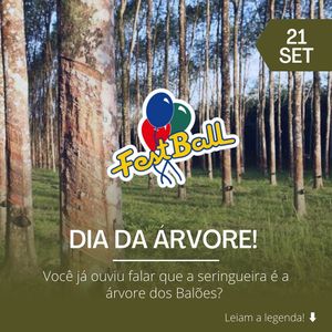 Image post by @baloesfestball on Instagram