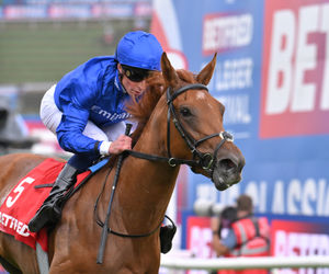Image post by @godolphin on Instagram