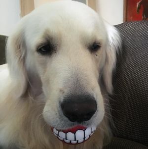 Image post by @mikethewhitegolden on Instagram