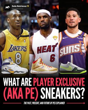 Image post by @soleretriever on Instagram