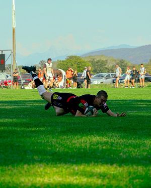 Image post by @sail__studio on Instagram