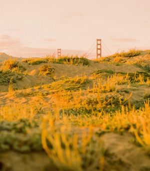 Image post by @vsco on Instagram