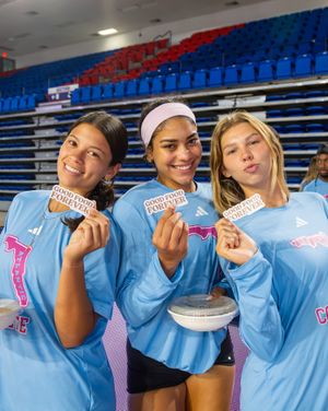 Image post by @fauvolleyball on Instagram