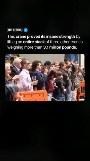 Image post by @hypewhip on Instagram