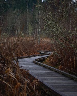 Image post by @axellearn on Instagram
