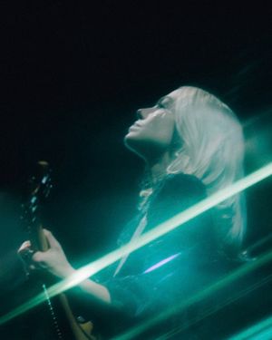 Image post by @localwolves on Instagram