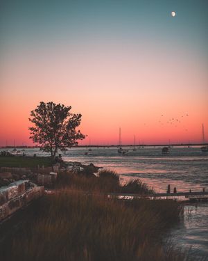 Image post by @spencer.gray on Instagram