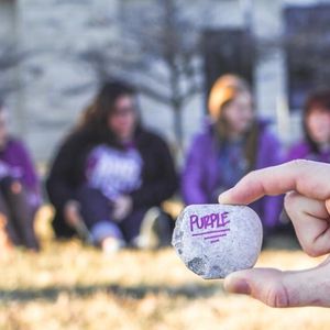 Image post by @kansasstateuniversity on Instagram