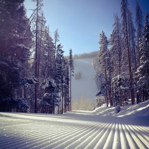 Image post by @beavercreek on Instagram
