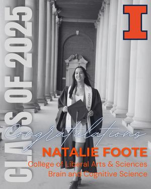 Image post by @marchingillini on Instagram