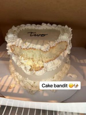 Video post by @lolavie on TikTok