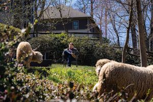 Image post by @corcoran_gw on Instagram