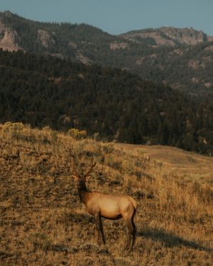 Image post by @thelensdaddy on Instagram