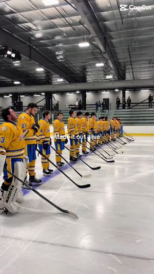Video post by @hoficehockey on TikTok