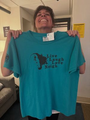 Image post by @lakestreetdive on Instagram