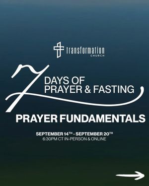 Image post by @wearetransformation on Instagram