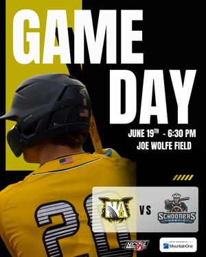 Image post by @steeplecats on Instagram