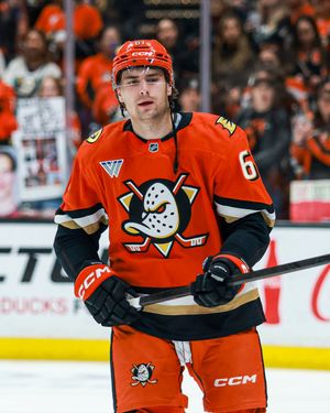 Image post by @anaheimducks on Instagram