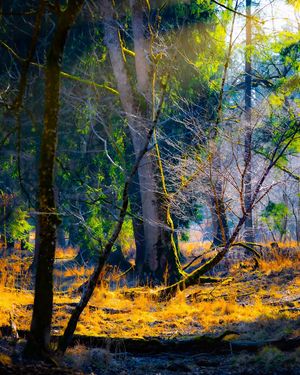 Image post by @cristan.nature.photography on Instagram