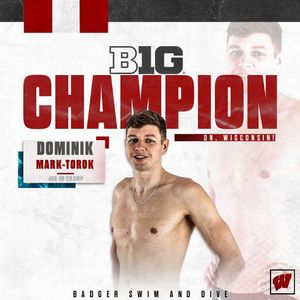 Image post by @badgerswimdive on Instagram