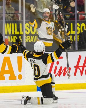 Image post by @bulldogsohl on Instagram