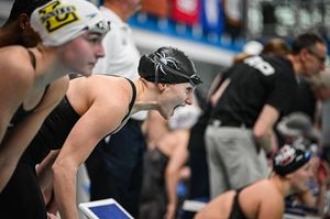 Image post by @spiderswimdive on Instagram